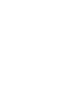 ICOM Brasil | Carta 2022